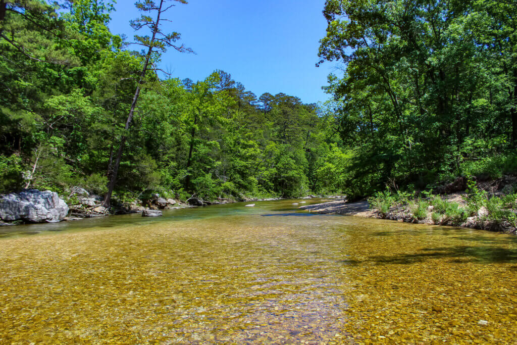 Best Swimming Holes in Arkansas Ozarks